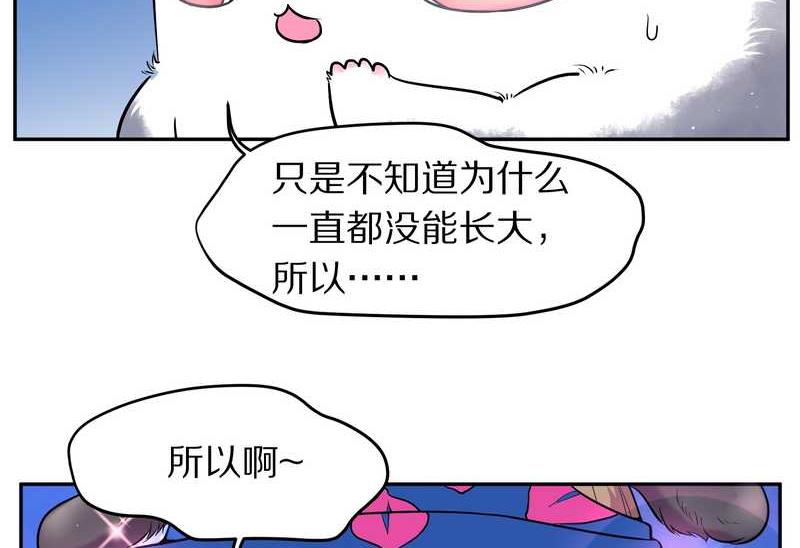 毛球星传说 第69集(1/2)-第69话