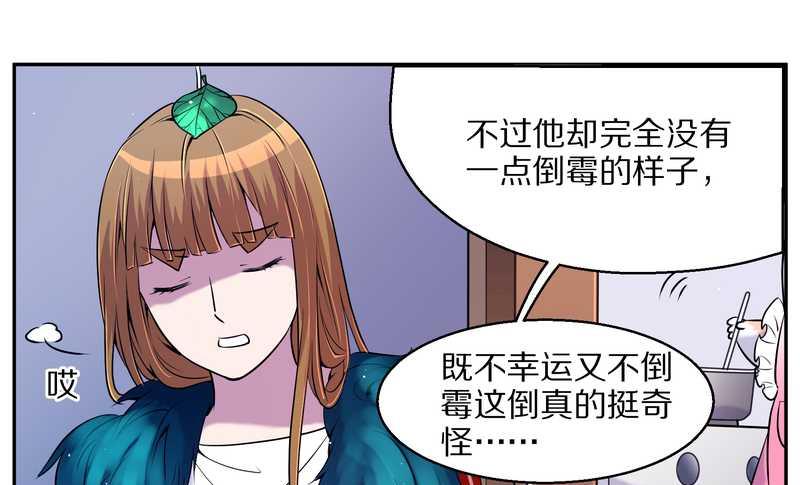 毛球星传说 第71集(1/2)-第71话