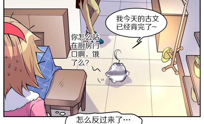 毛球星传说 第71集(1/2)-第71话