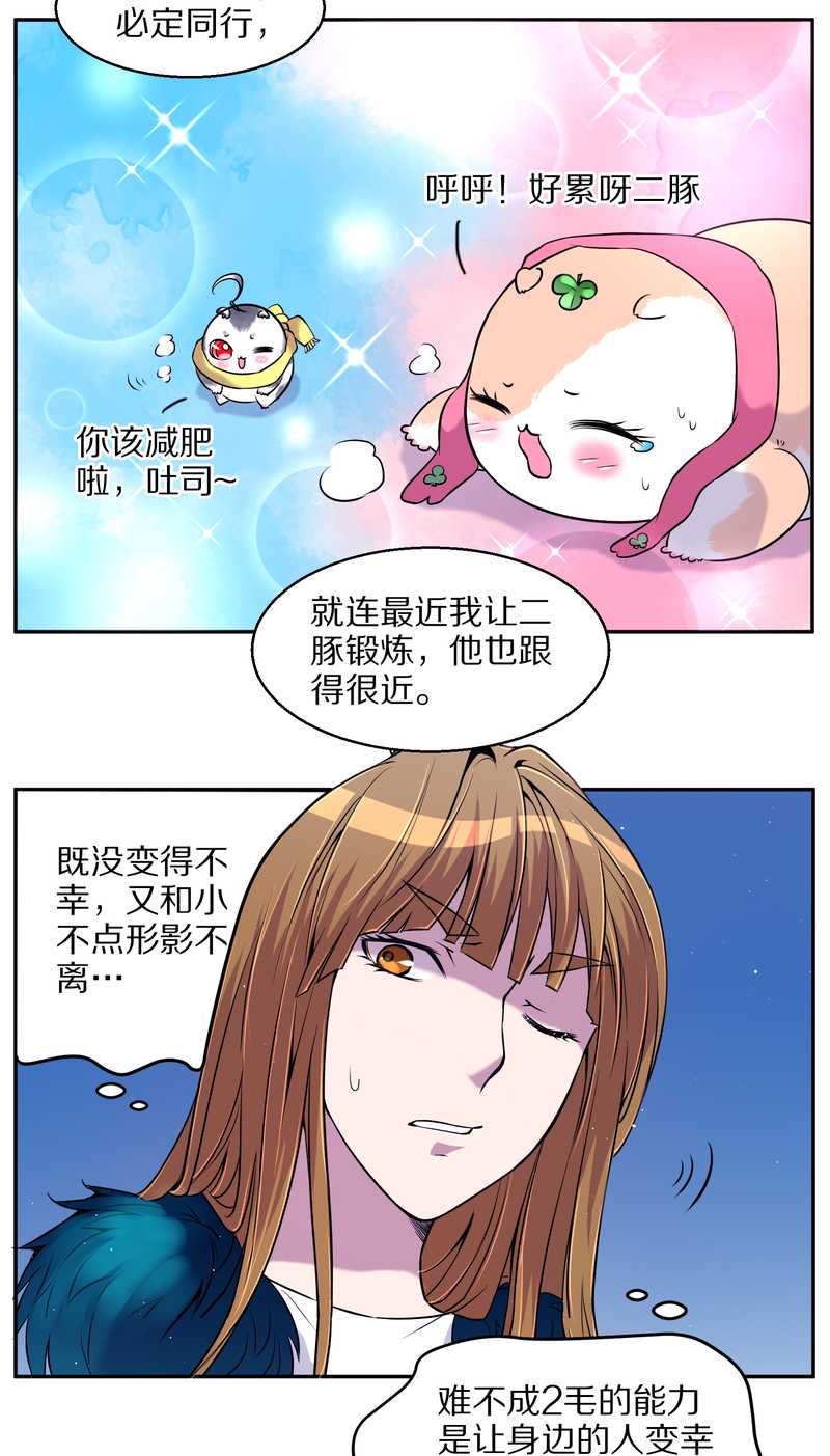 毛球星传说 第71集(1/2)-第71话