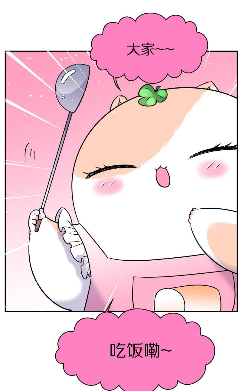 毛球星传说 第71集(1/2)-第71话