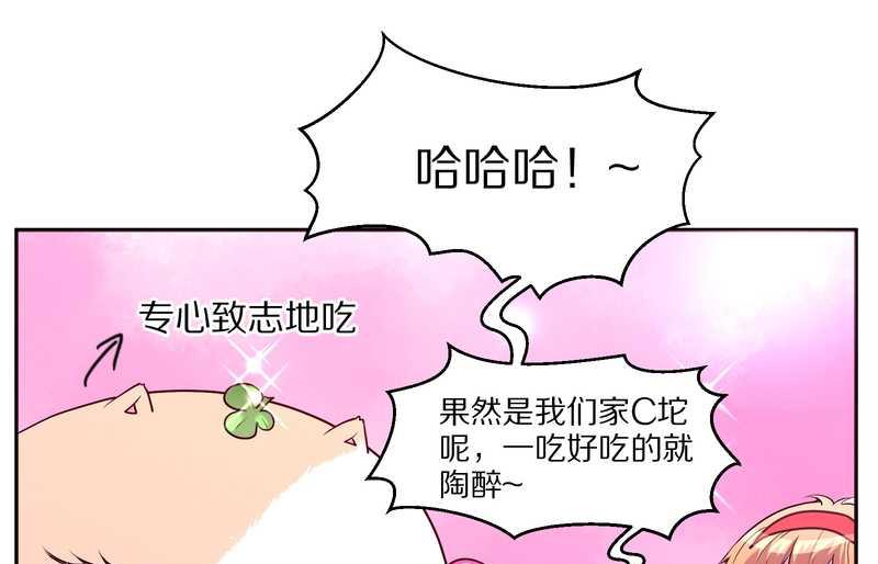 毛球星传说 第71集(1/2)-第71话