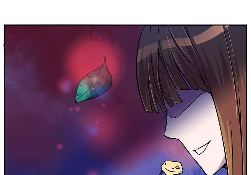 毛球星传说 第71集(1/2)-第71话