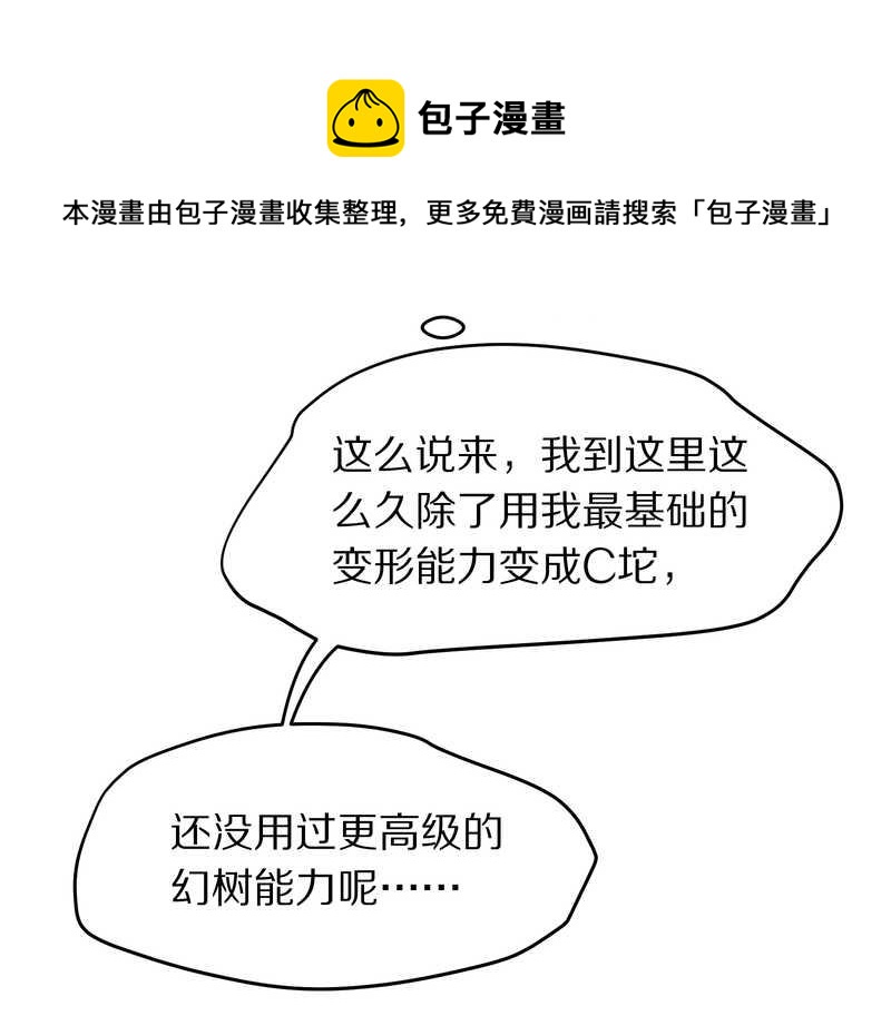 毛球星传说 第71集(1/2)-第71话