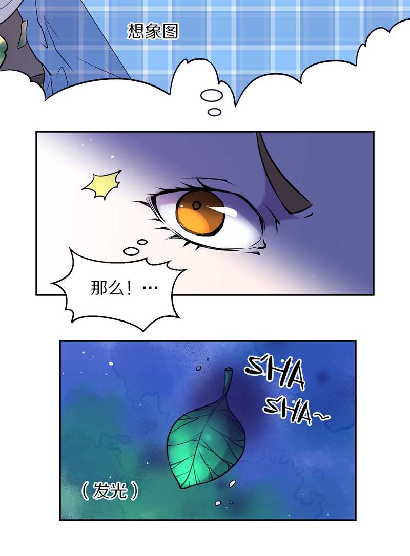 毛球星传说 第71集(1/2)-第71话