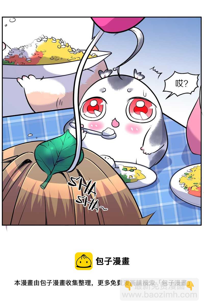 毛球星传说 第71集(1/2)-第71话