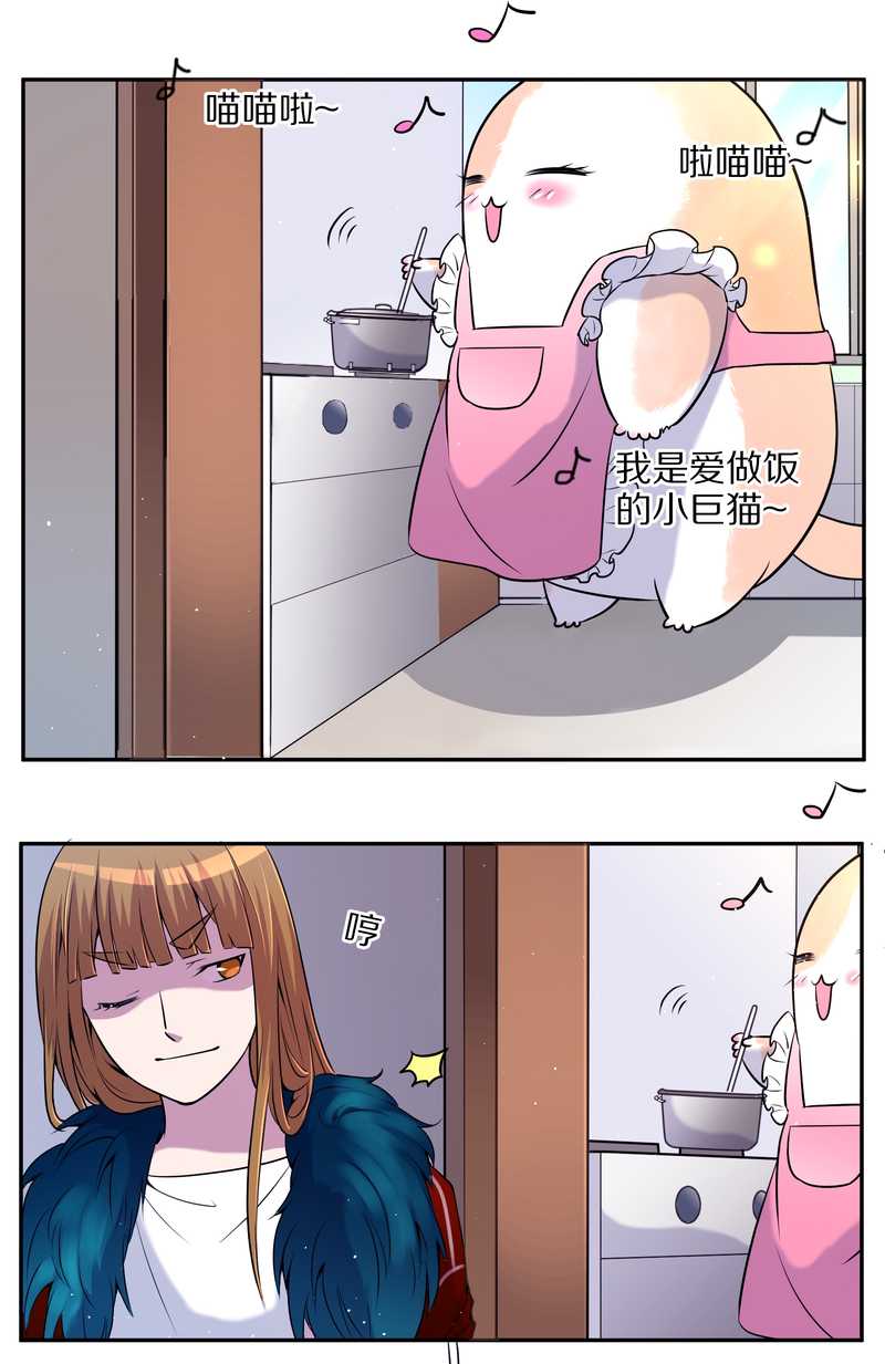 毛球星传说 第71集(1/2)-第71话