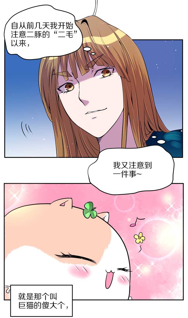 毛球星传说 第71集(1/2)-第71话