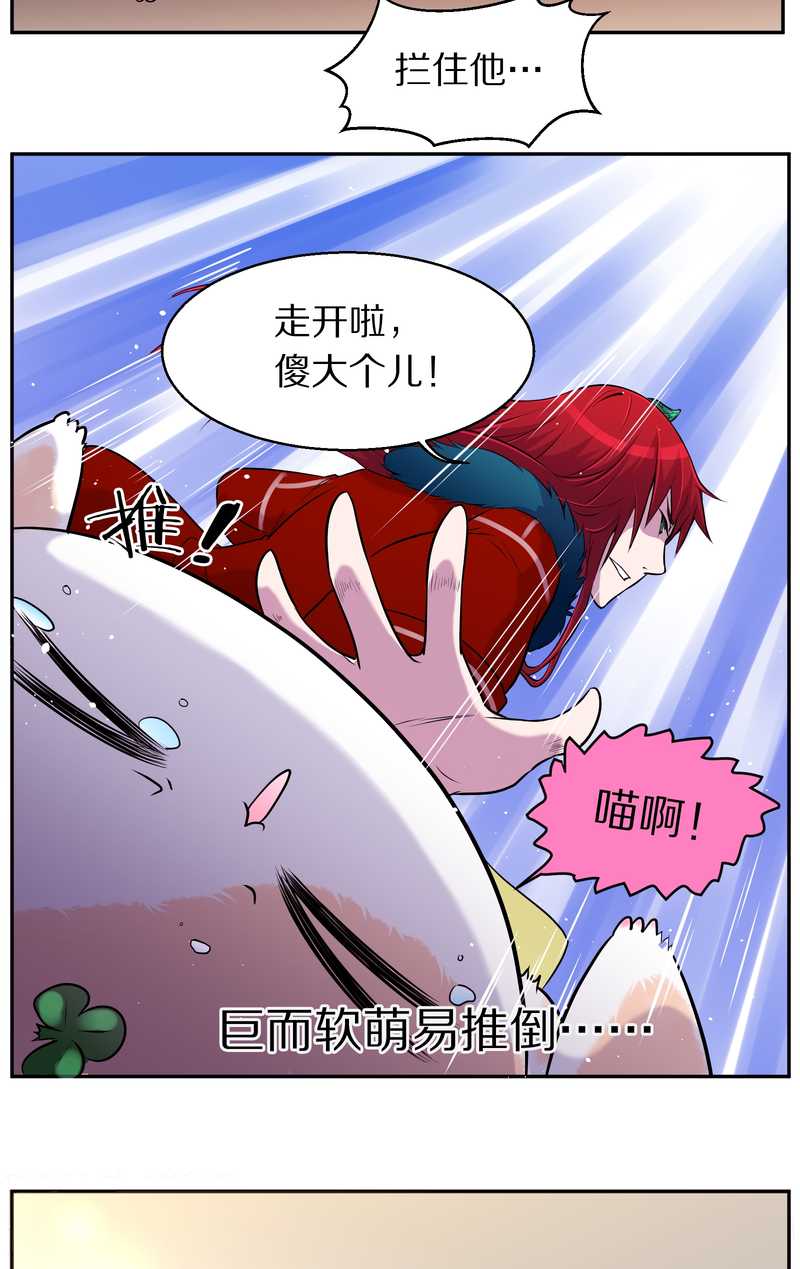 毛球星传说 第73集(1/2)-第73话
