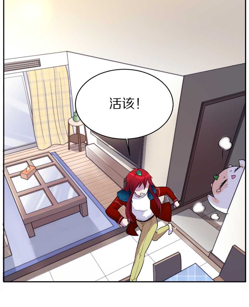 毛球星传说 第73集(1/2)-第73话