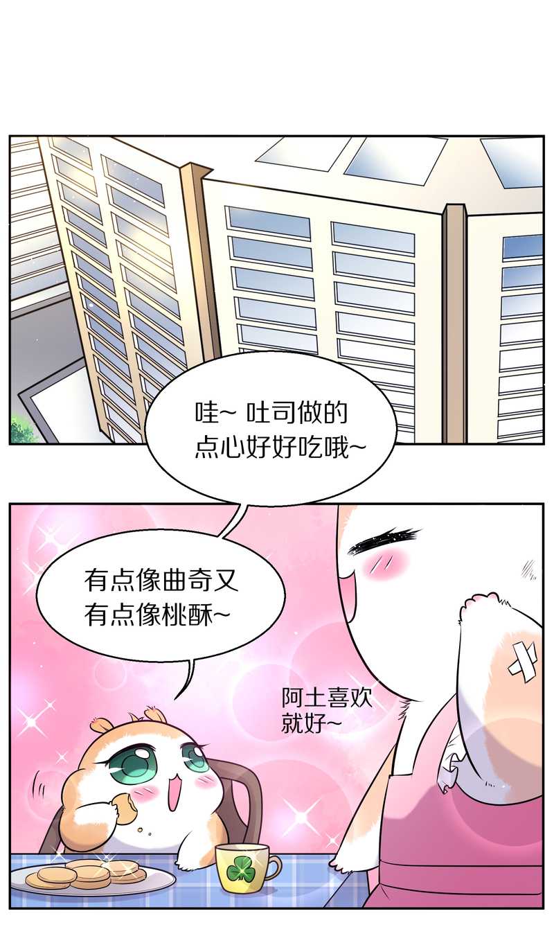 毛球星传说 第73集(1/2)-第73话
