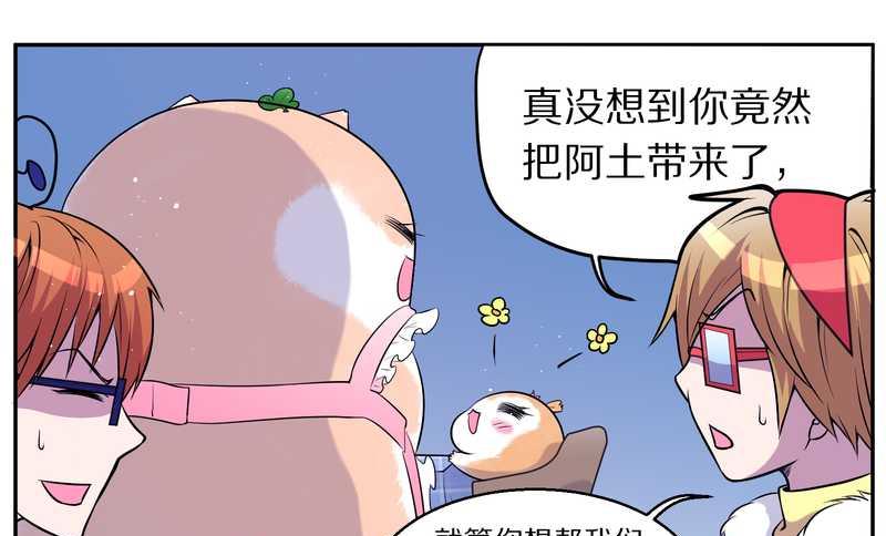 毛球星传说 第73集(1/2)-第73话