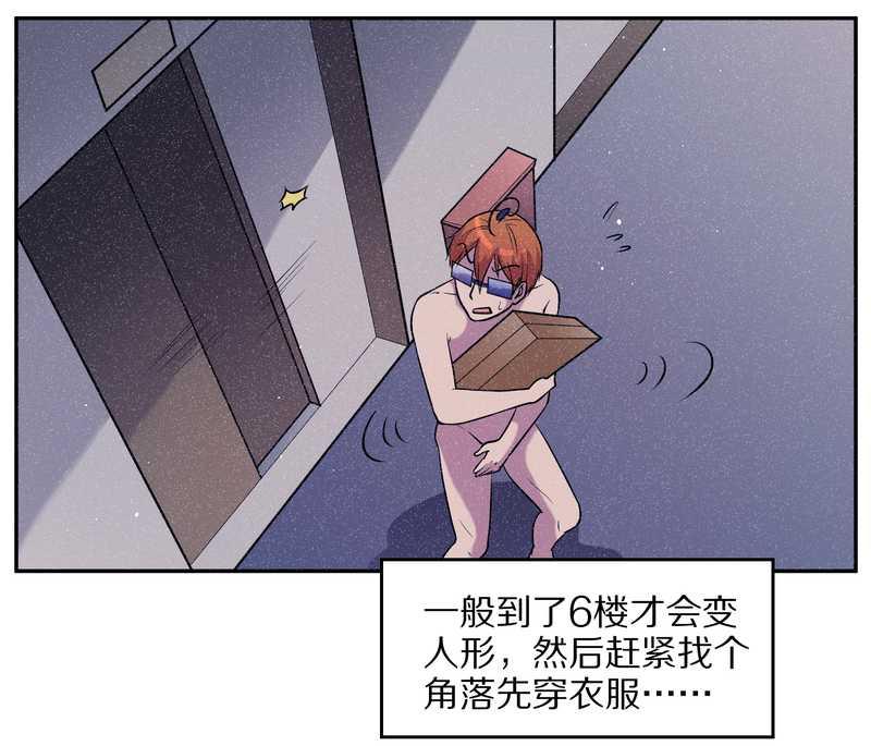 毛球星传说 第73集(1/2)-第73话