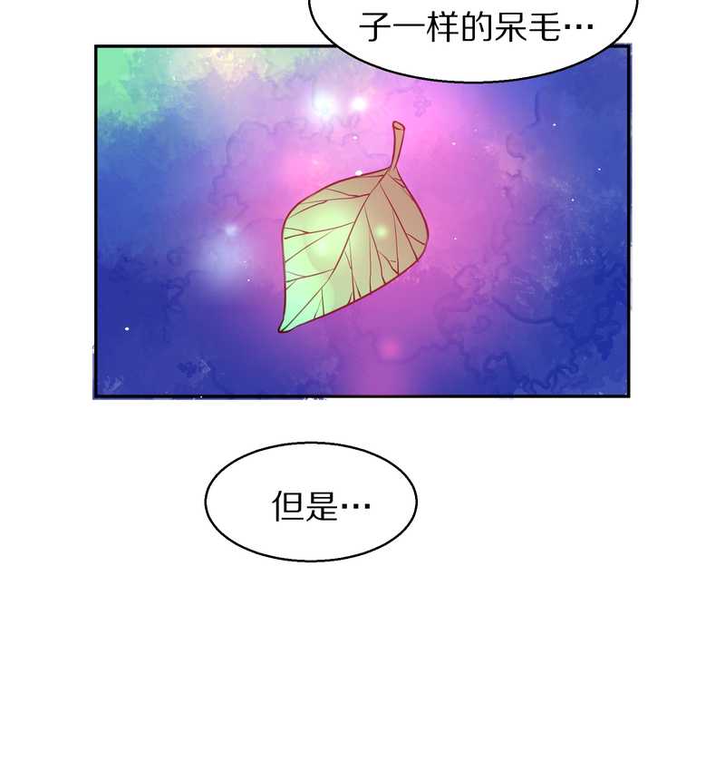 毛球星传说 第73集(1/2)-第73话