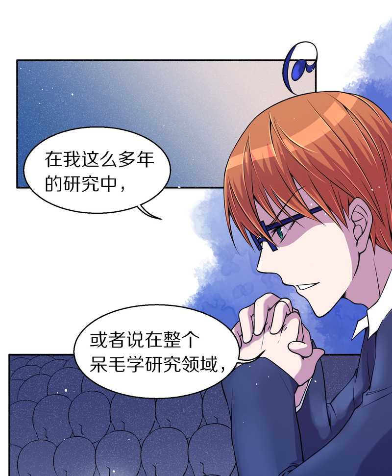 毛球星传说 第73集(1/2)-第73话