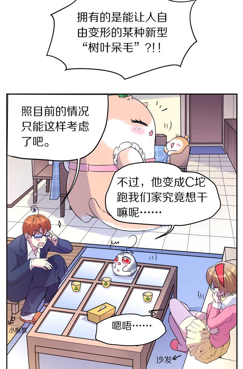 毛球星传说 第73集(1/2)-第73话