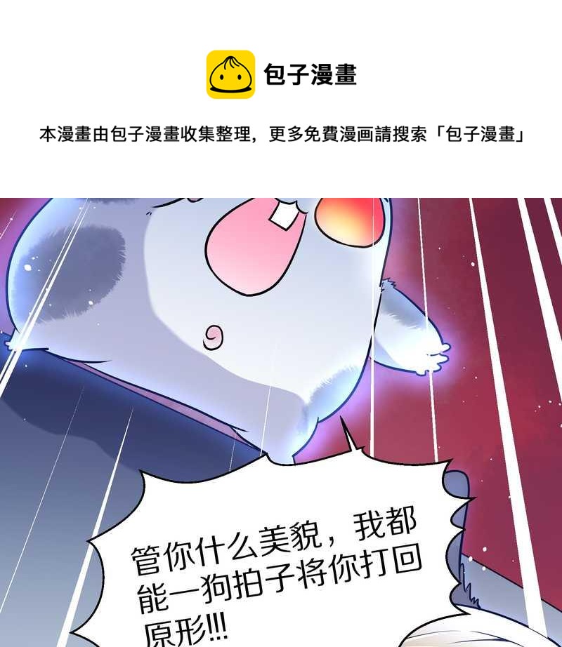 毛球星传说 第77集(1/2)-第77话