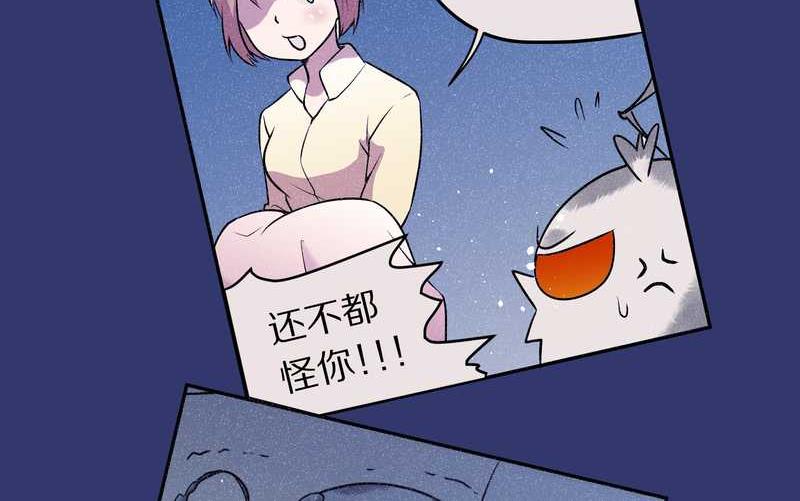 毛球星传说 第77集(1/2)-第77话