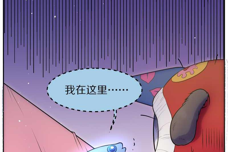 毛球星传说 第79集(1/2)-第79话
