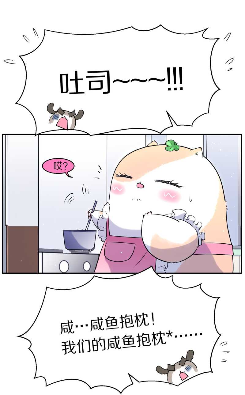 毛球星传说 第79集(1/2)-第79话