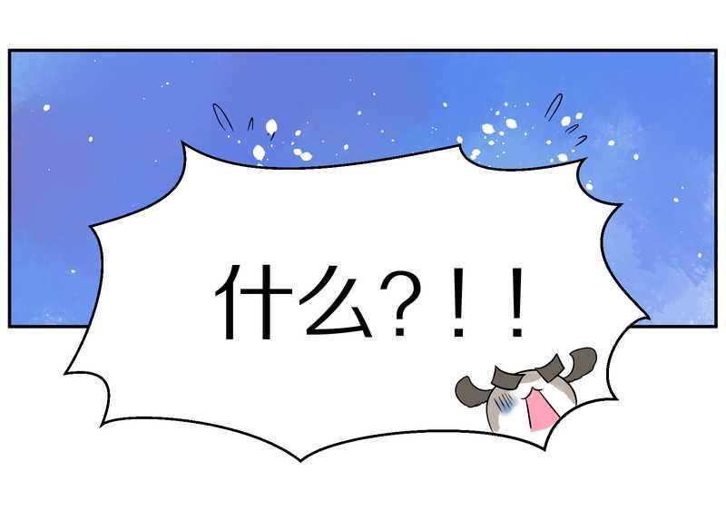 毛球星传说 第79集(1/2)-第79话