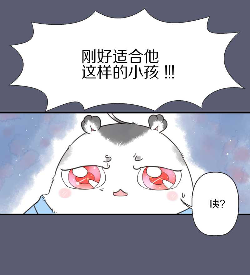 毛球星传说 第9集-第9话
