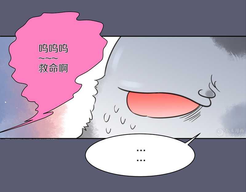 毛球星传说 第9集-第9话