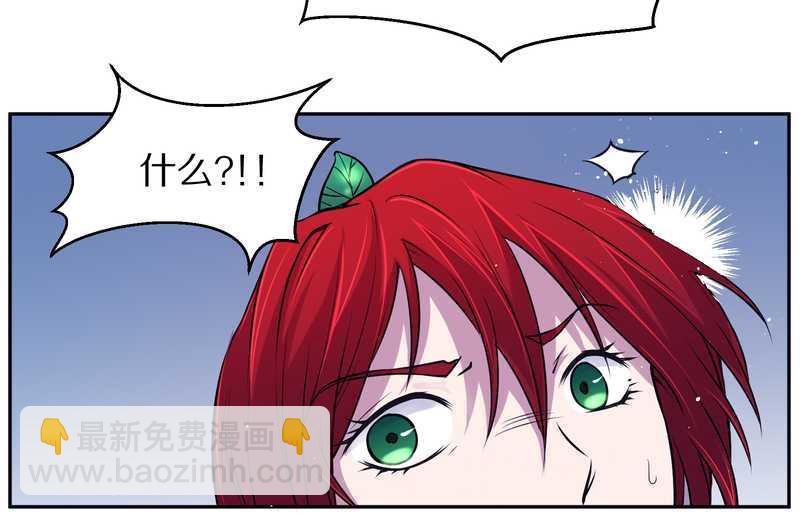 毛球星传说 第81集(1/2)-第81话