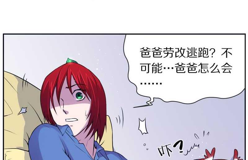 毛球星传说 第81集(1/2)-第81话