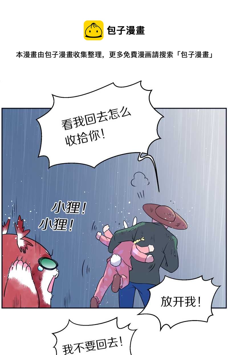 毛球星传说 第81集(1/2)-第81话