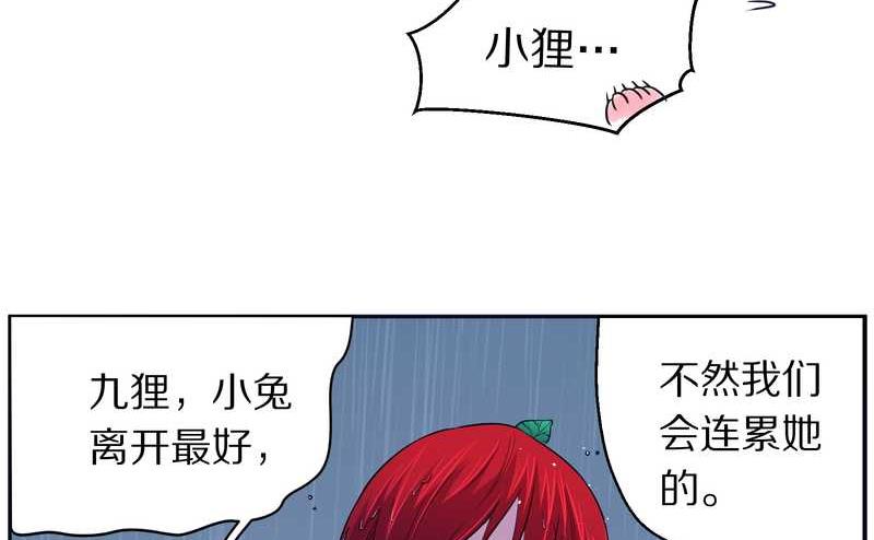 毛球星传说 第81集(1/2)-第81话