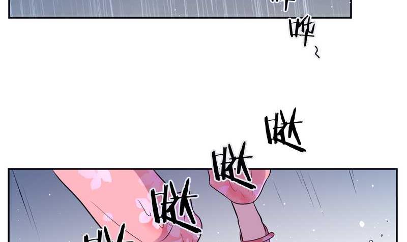 毛球星传说 第81集(1/2)-第81话