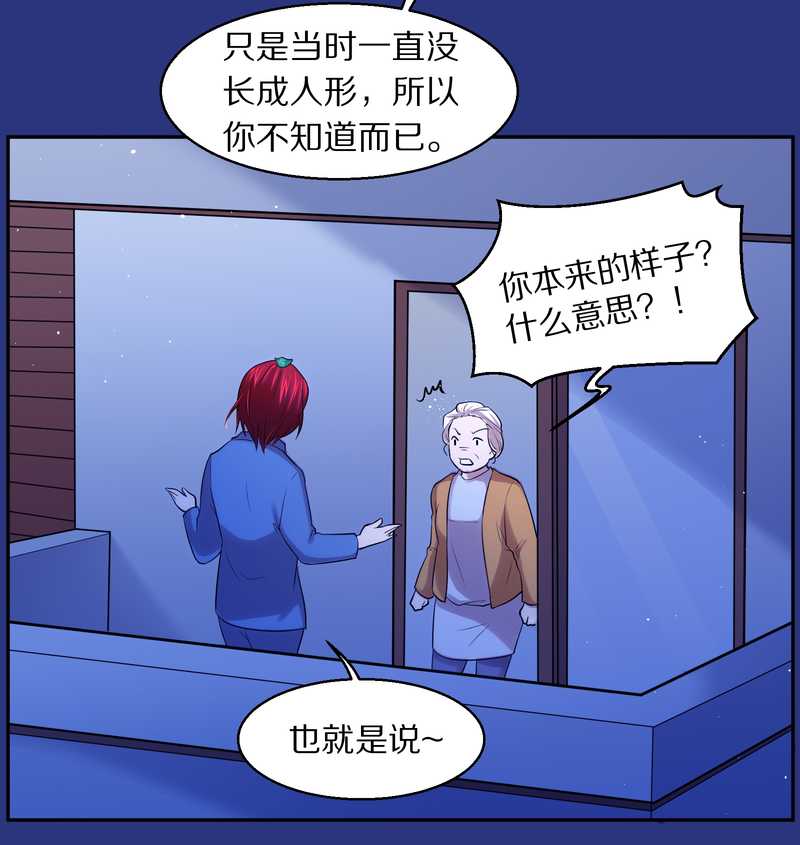 毛球星传说 第83集(1/3)-第83话