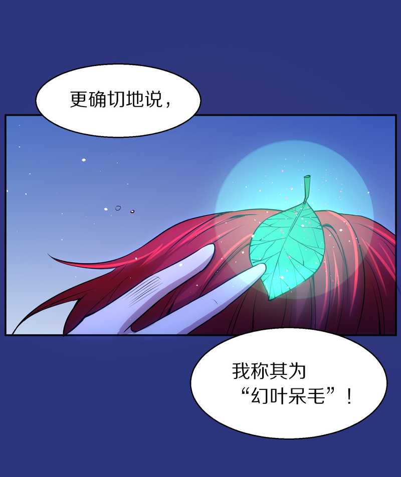 毛球星传说 第83集(1/3)-第83话