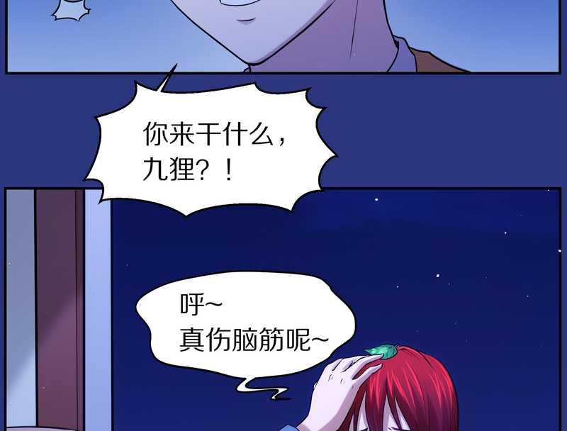 毛球星传说 第83集(1/3)-第83话
