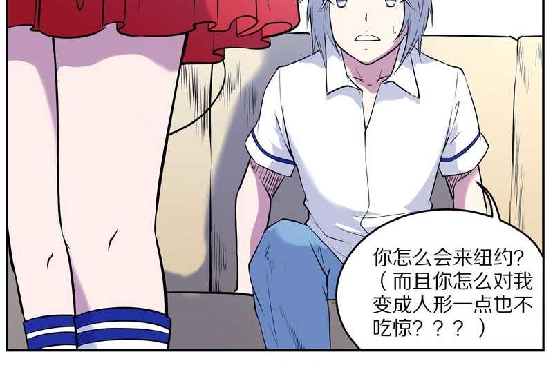 毛球星传说 第85集(1/2)-第85话