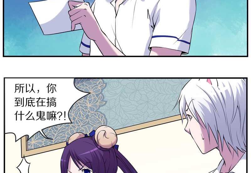 毛球星传说 第85集(1/2)-第85话