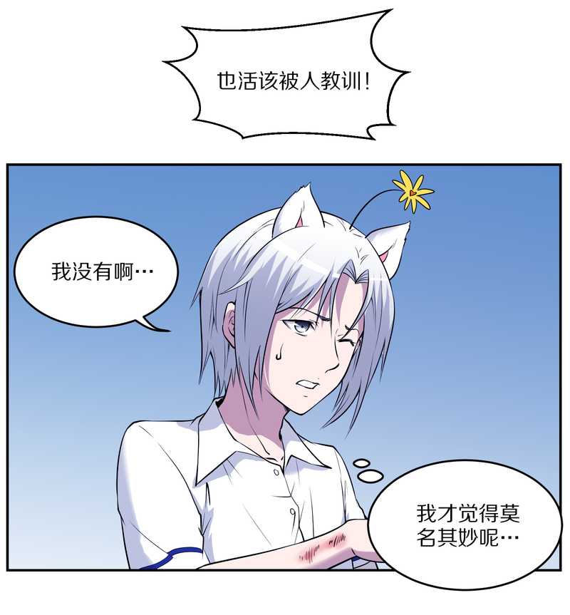 毛球星传说 第85集(1/2)-第85话