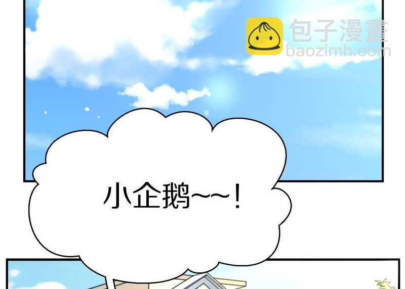 毛球星传说 第87集(1/2)-第87话