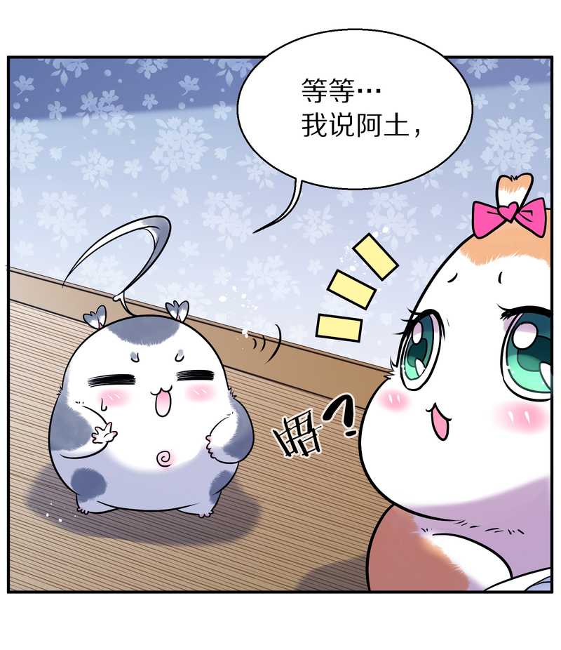 毛球星传说 第87集(1/2)-第87话