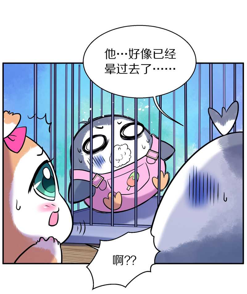 毛球星传说 第87集(1/2)-第87话