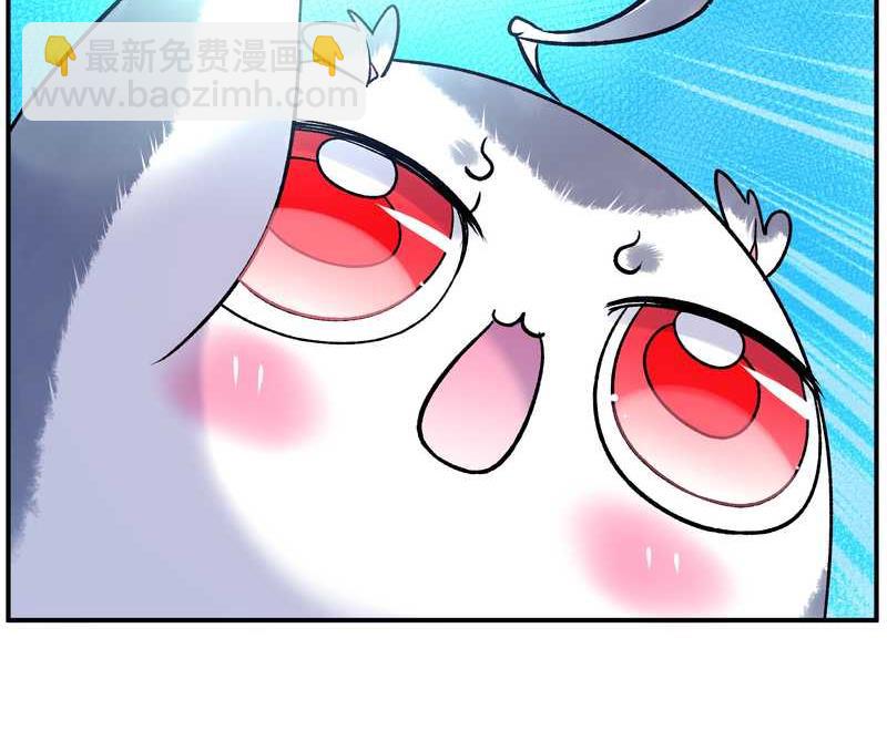 毛球星传说 第87集(1/2)-第87话