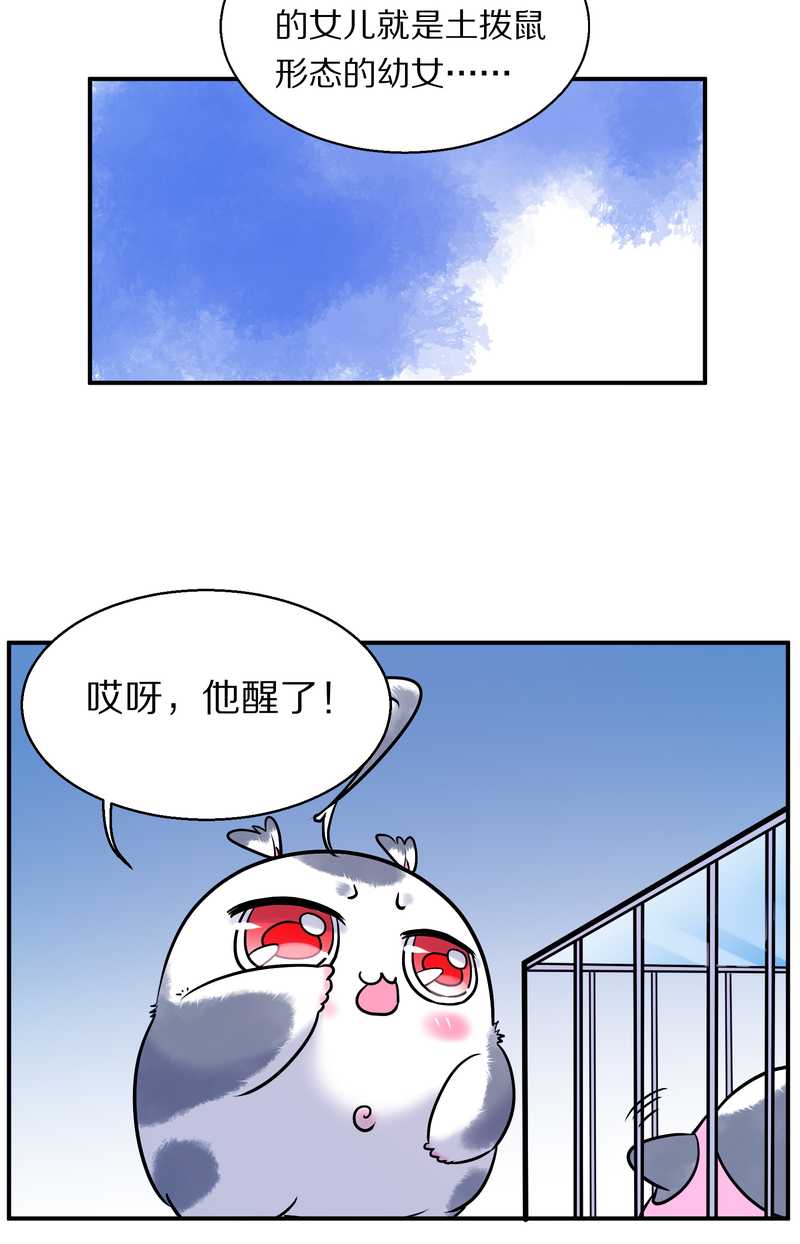 毛球星传说 第87集(1/2)-第87话