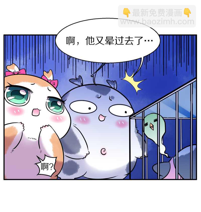 毛球星传说 第87集(1/2)-第87话