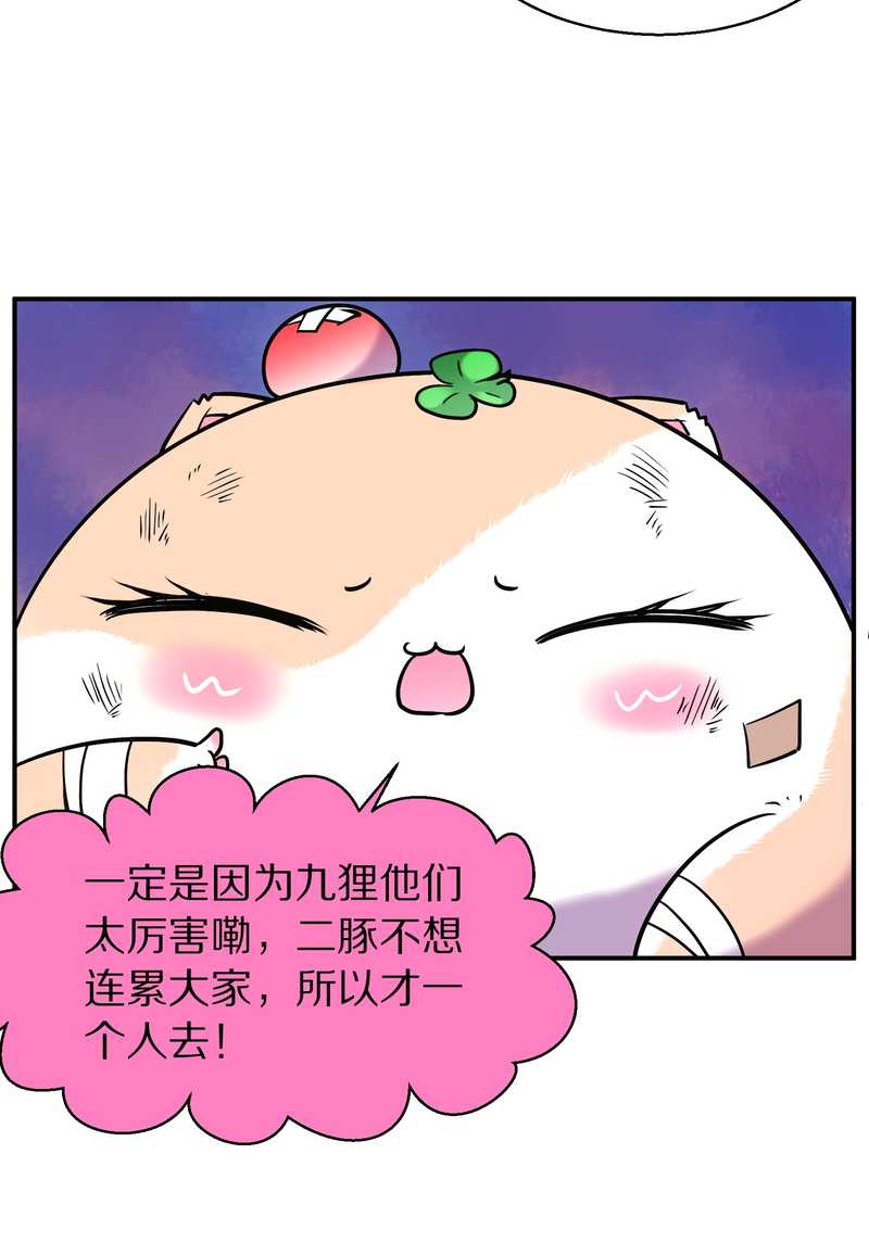毛球星传说 第89集(1/3)-第89话