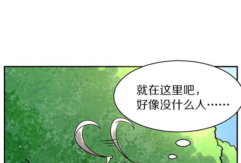 毛球星传说 第91集(1/3)-第91话