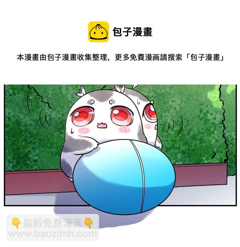 毛球星传说 第91集(1/3)-第91话