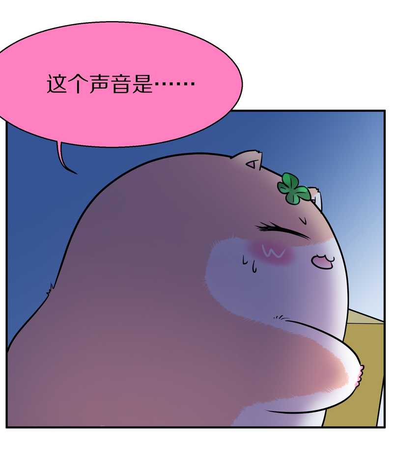 毛球星传说 第95集(1/3)-第95话