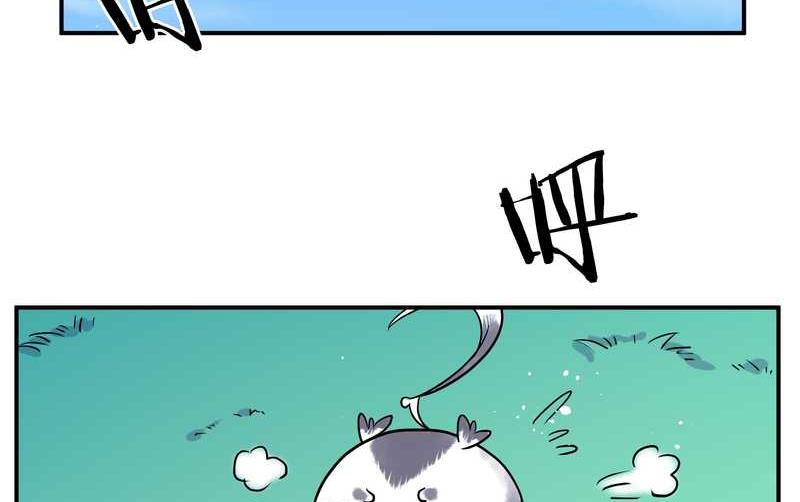 毛球星传说 第95集(1/3)-第95话