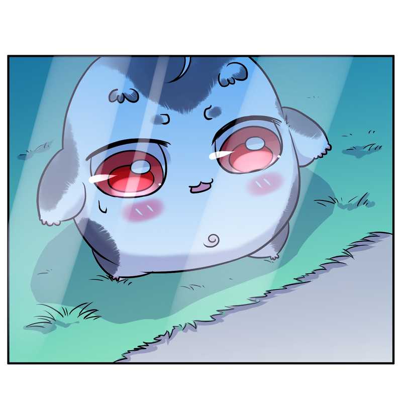 毛球星传说 第95集(1/3)-第95话